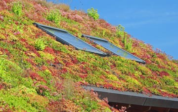 Ward Green Cross living roof systems